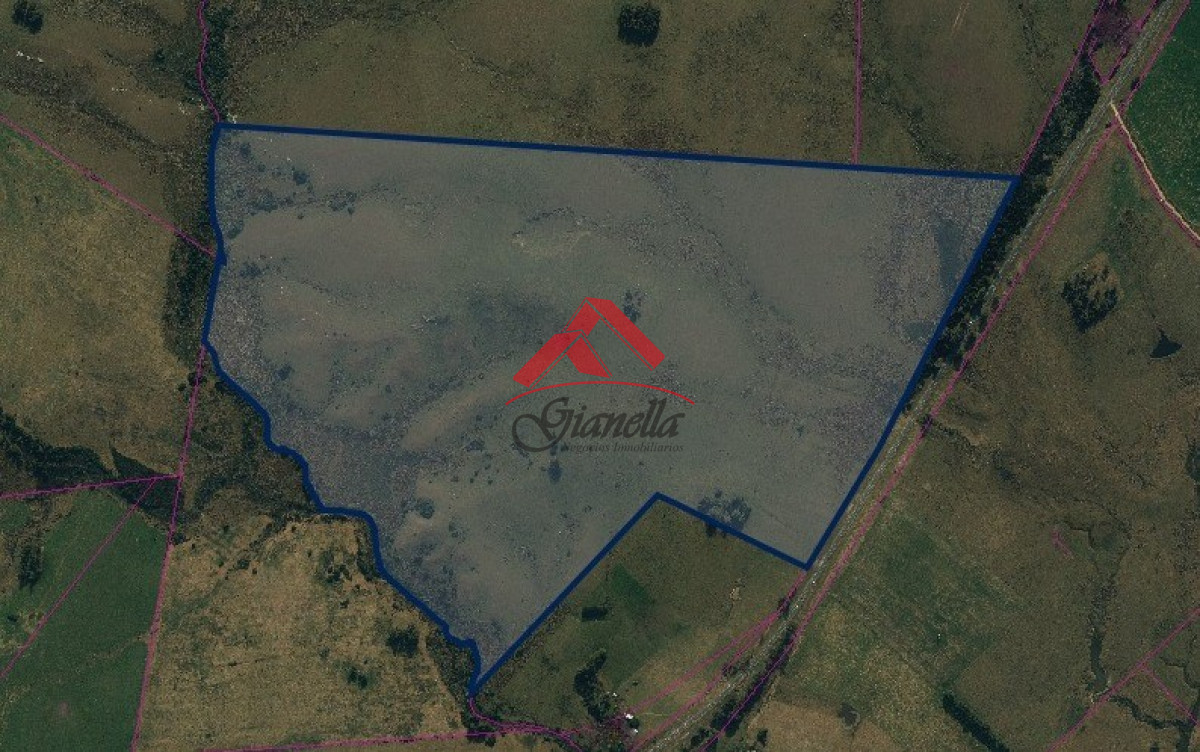 Campo Ref.1830 - Gran campo con ubicación inmejorable - Sobre ruta 9.