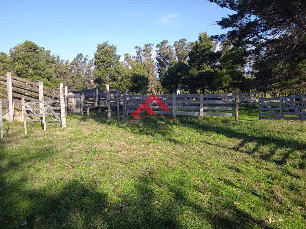 Campo Ref.1761 - Campo de 62 hás sobre Ruta 9.