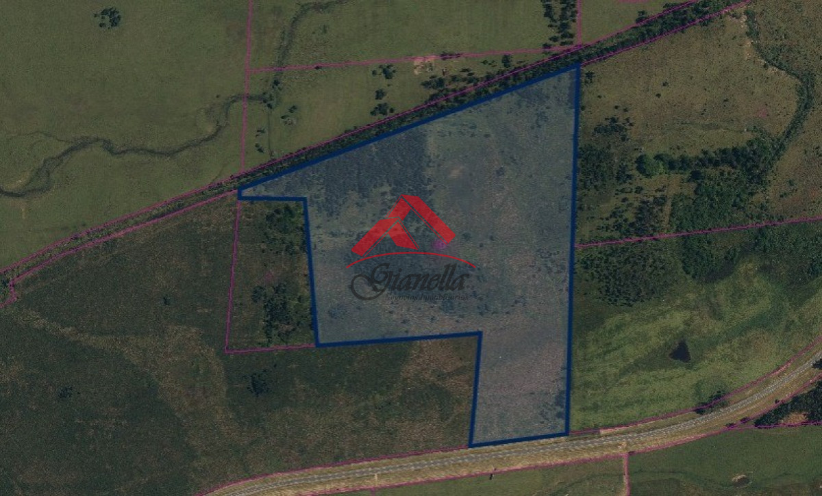 Campo Ref.1825 - Excelente campo de 89 hás.