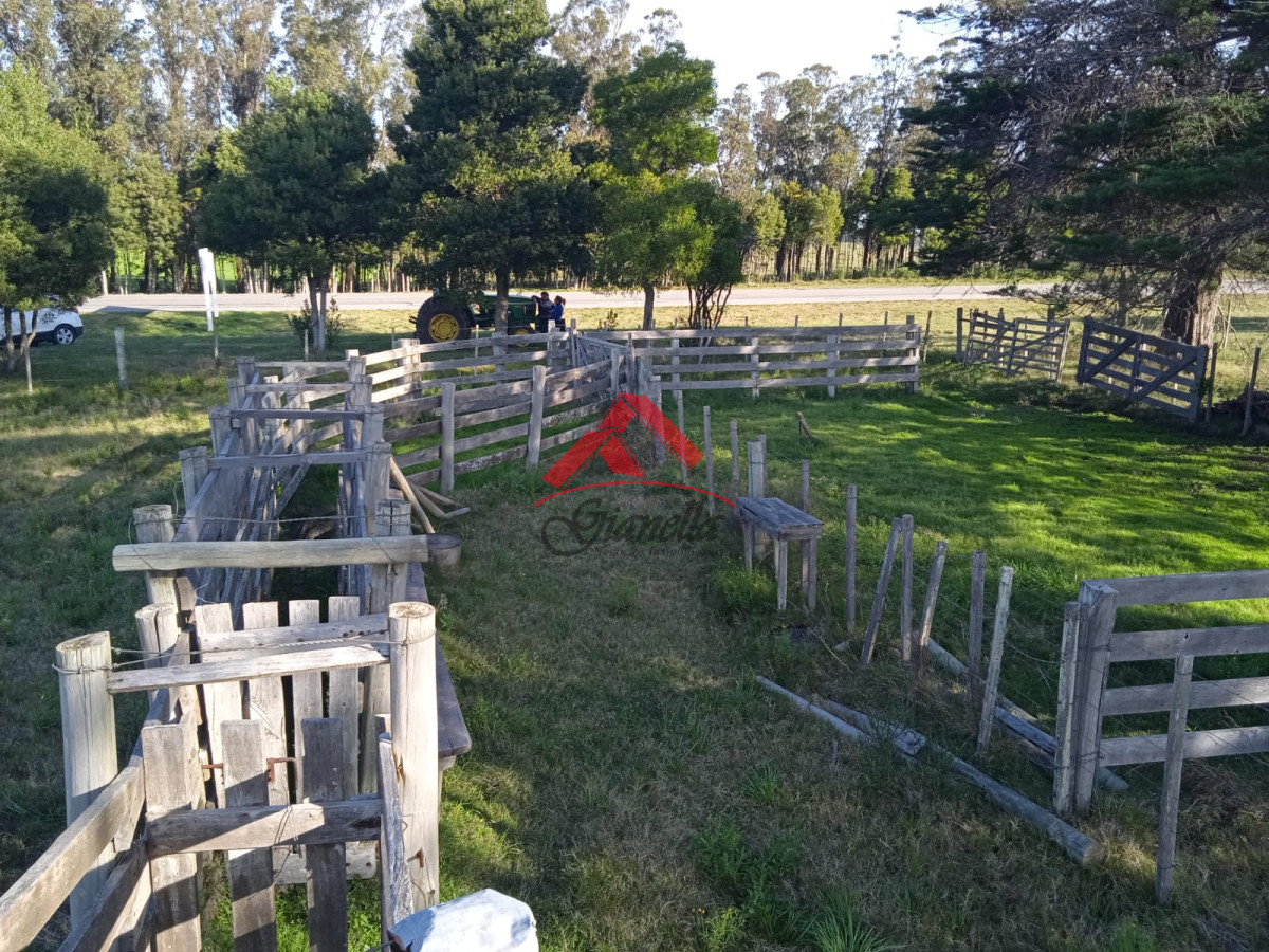 Campo Ref.1761 - Campo de 62 hás sobre Ruta 9.