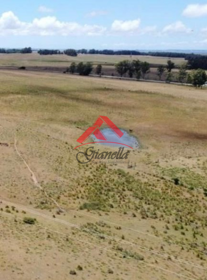 Campo Ref.1830 - Gran campo con ubicación inmejorable - Sobre ruta 9.