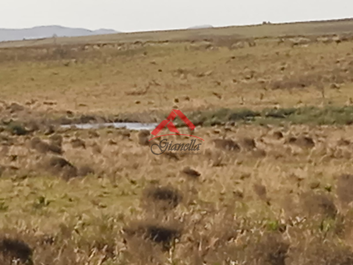 Campo Ref.1761 - Campo de 62 hás sobre Ruta 9.