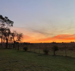 Campo en José Ignacio