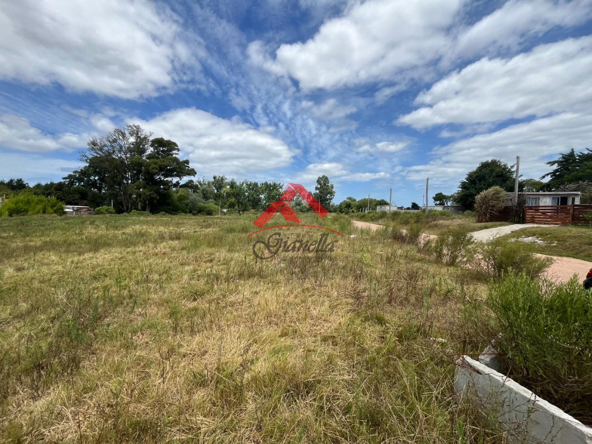 Terreno ID.1916 - Terreno en San Carlos