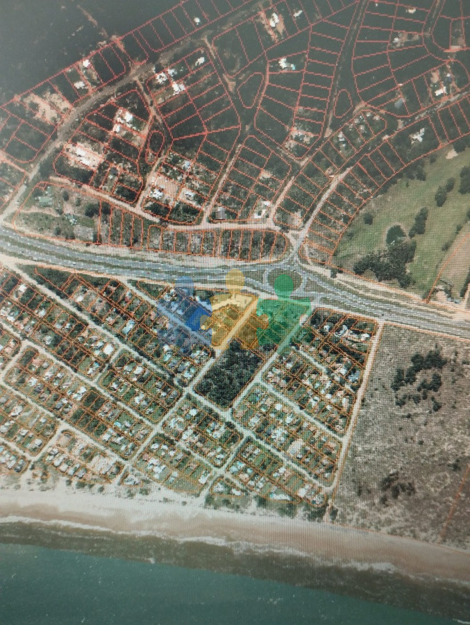 Tio Tom - GoPunta - Portal Inmobiliario de Punta del Este - Maldonado