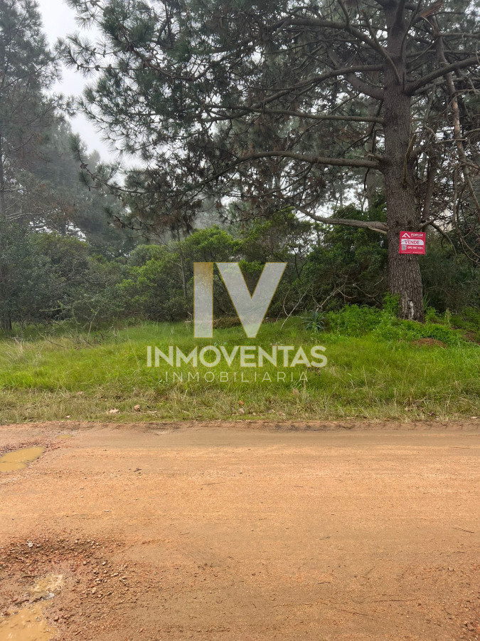 Terreno ID.2167 - TÍO TOM A 500 MTS. DEL MAR