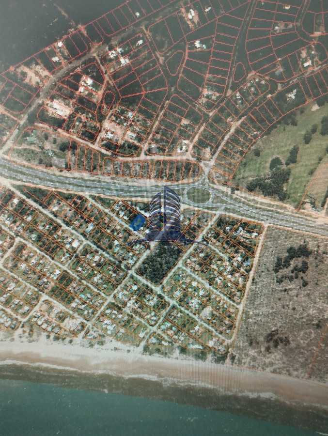 Tio Tom - GoPunta - Portal Inmobiliario de Punta del Este - Maldonado