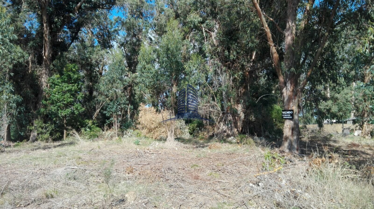 Santa Monica - GoPunta - Portal Inmobiliario de Punta del Este - Maldonado