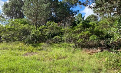 SE VENDE TERRENO EN TÍO TOM A 500 MTS. DEL MAR.