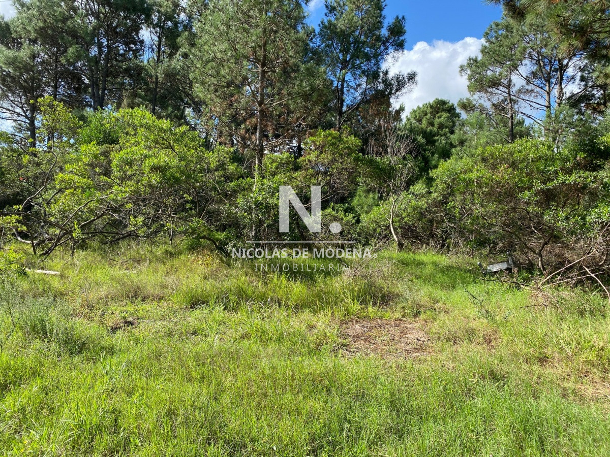 Portezuelo - GoPunta - Portal Inmobiliario de Punta del Este - Maldonado