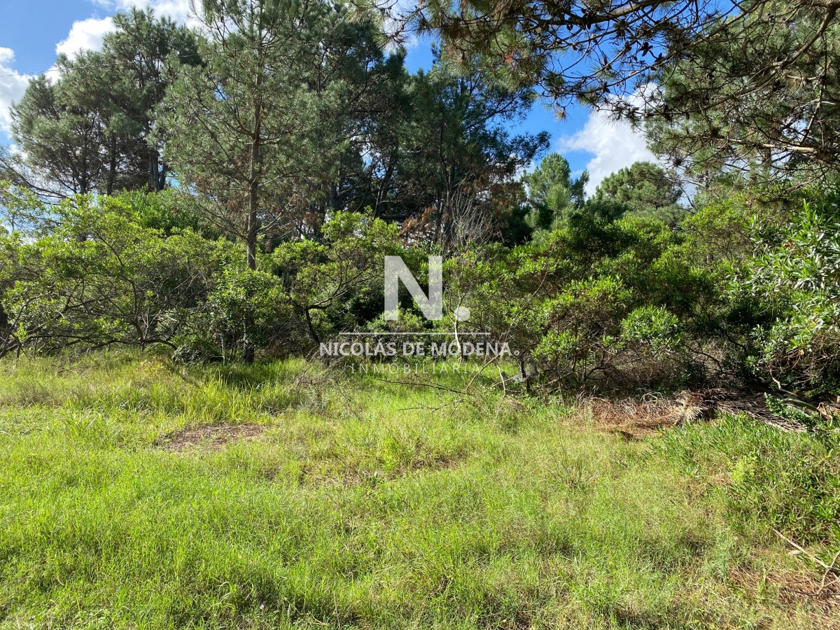 Portezuelo - GoPunta - Portal Inmobiliario de Punta del Este - Maldonado