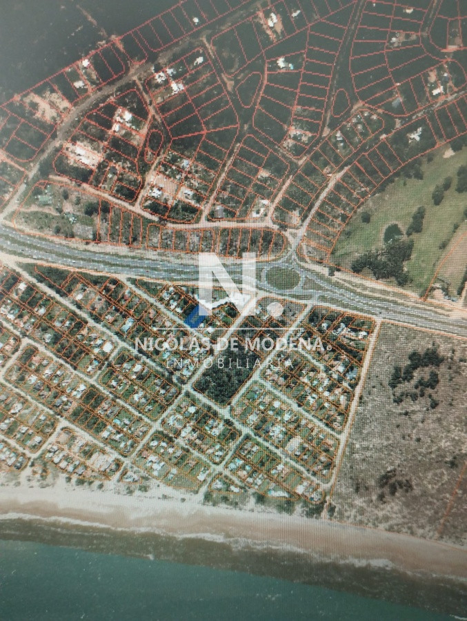 Tio Tom - GoPunta - Portal Inmobiliario de Punta del Este - Maldonado