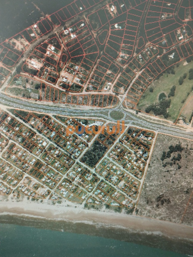 Tio Tom - GoPunta - Portal Inmobiliario de Punta del Este - Maldonado