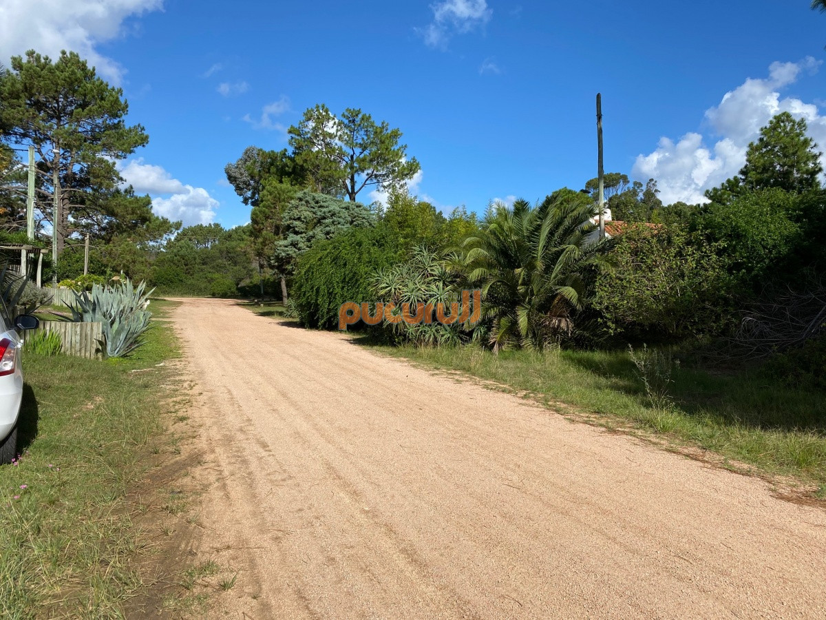 Tio Tom - GoPunta - Portal Inmobiliario de Punta del Este - Maldonado