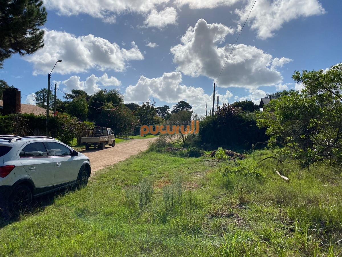 Tio Tom - GoPunta - Portal Inmobiliario de Punta del Este - Maldonado