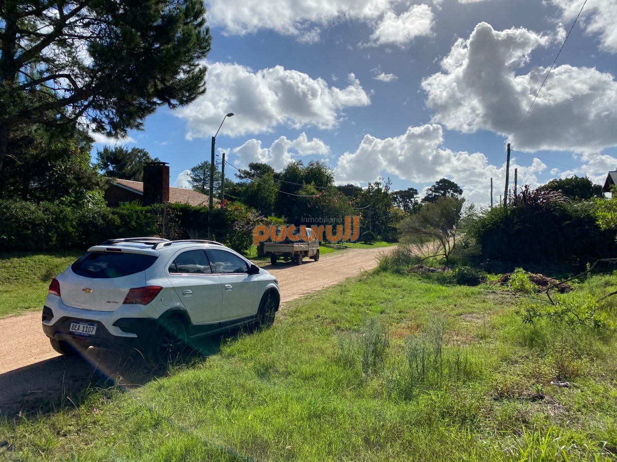 Tio Tom - GoPunta - Portal Inmobiliario de Punta del Este - Maldonado