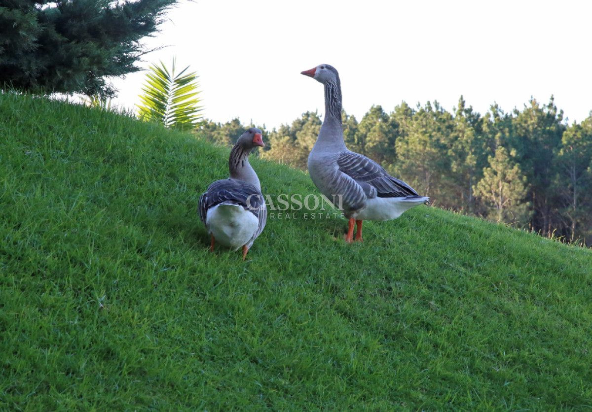 Apartamento ID.1604 - VENTA APARTAMENTO 3 DORMITORIOS EN SUITE