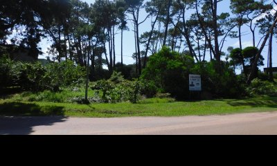 Venta de excelente lote de 1564 m2 sobre Avenida del Mar, Playa Brava