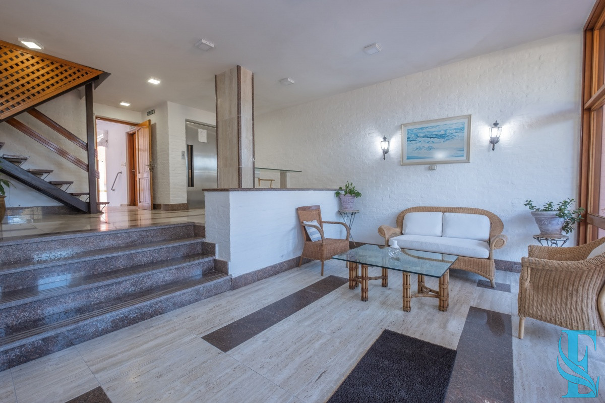 Apartamento ID.49 - EDIFICIO LAS OLAS -ALQUILA APARTAMENTO 3 DORMITORIOS , 2 BAÑOS