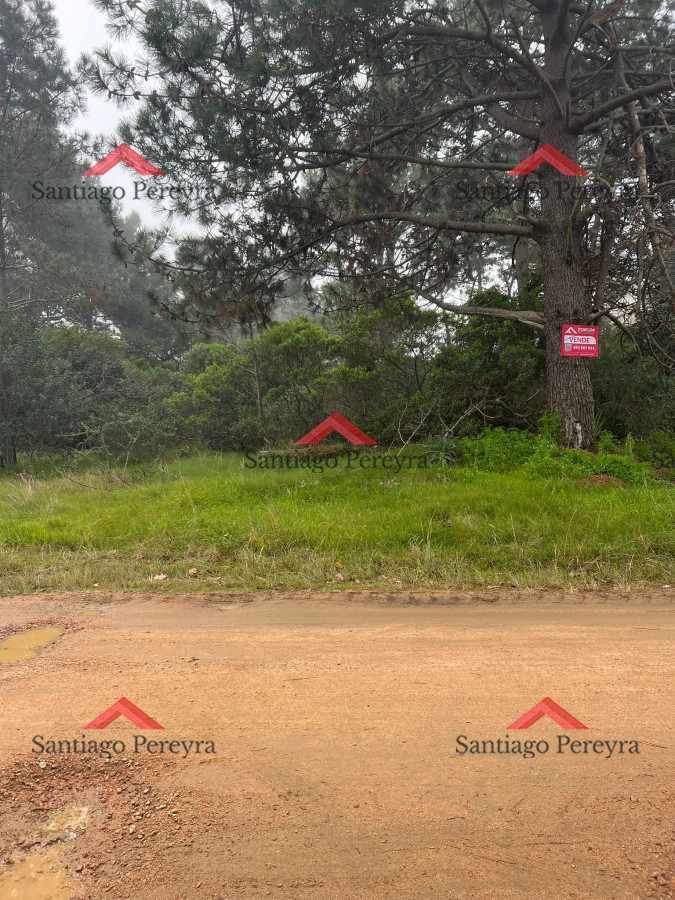 Terreno ID.6587 - TÍO TOM A 500 MTS. DEL MAR