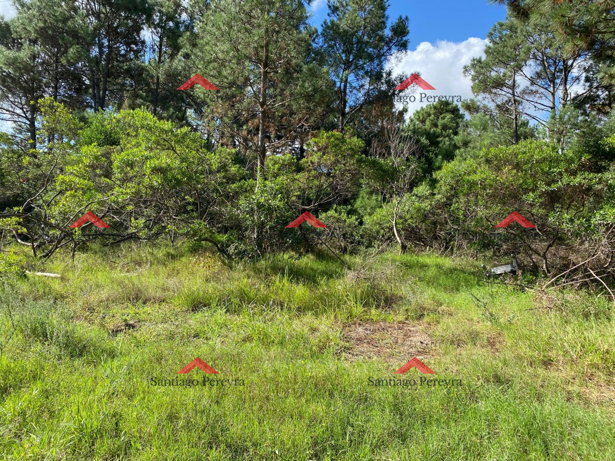 Terreno ID.6351 - TÍO TOM A 500 MTS. DEL MAR
