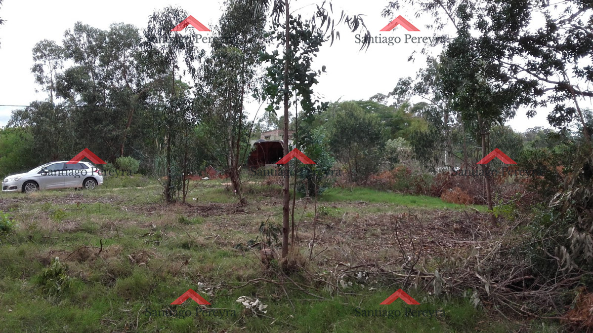 Terreno ID.6767 - VENTA TERRENO EN SANTA MÓNICA