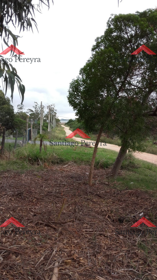 Terreno ID.6767 - VENTA TERRENO EN SANTA MÓNICA