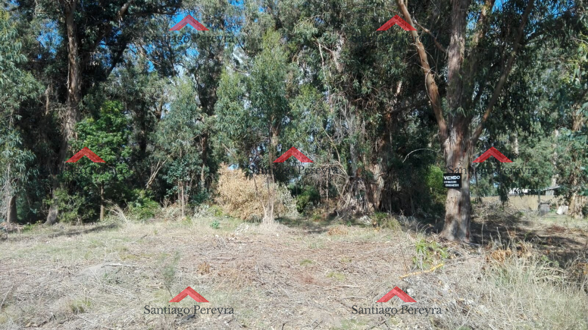 Terreno ID.6767 - VENTA TERRENO EN SANTA MÓNICA