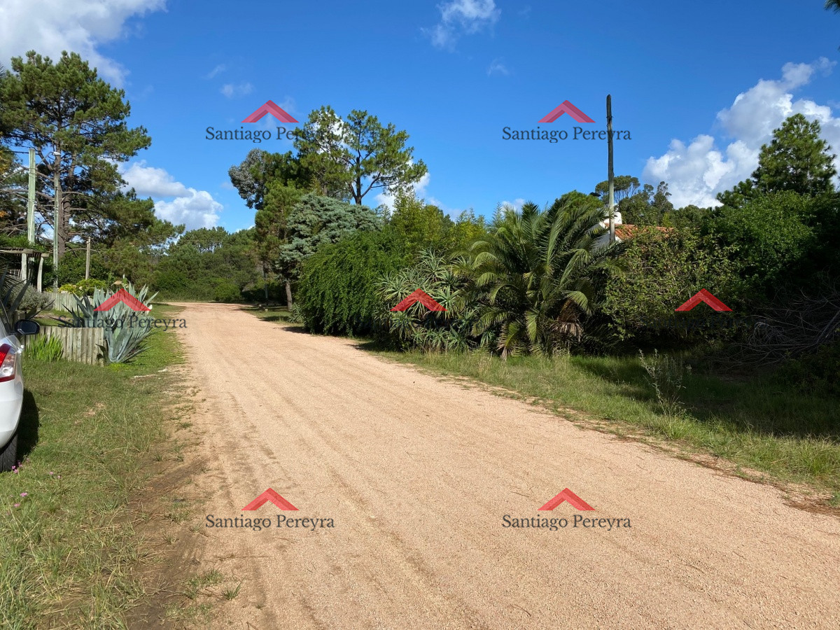 Tio Tom - GoPunta - Portal Inmobiliario de Punta del Este - Maldonado