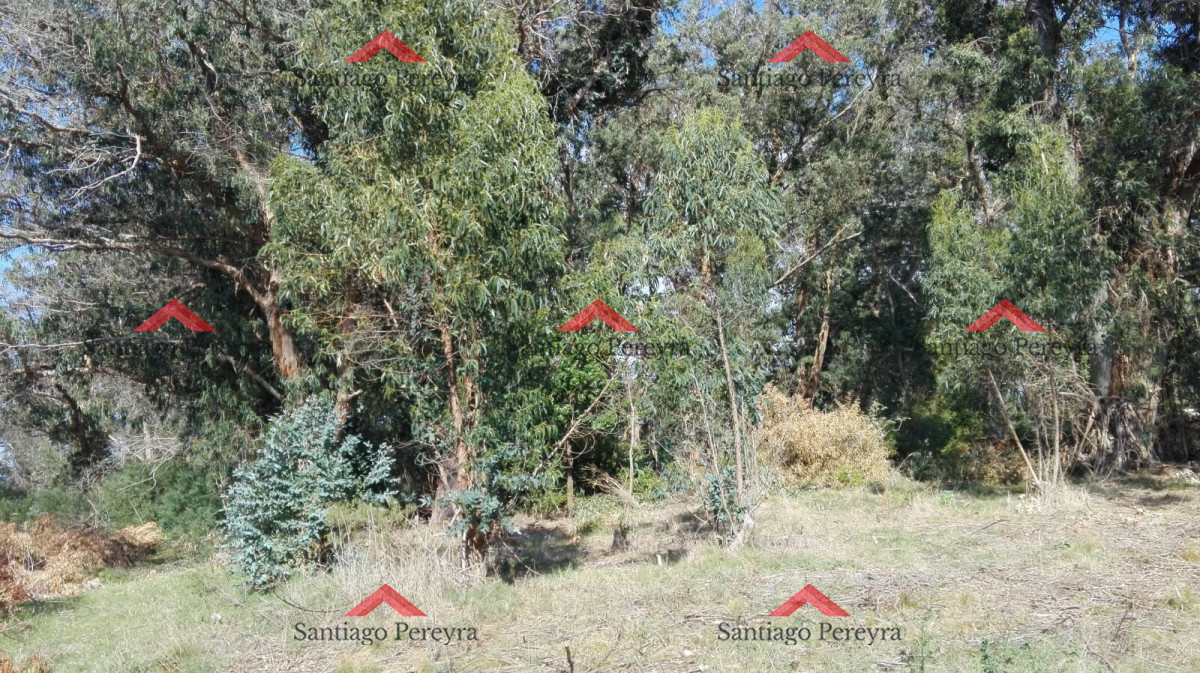 Terreno ID.6767 - VENTA TERRENO EN SANTA MÓNICA