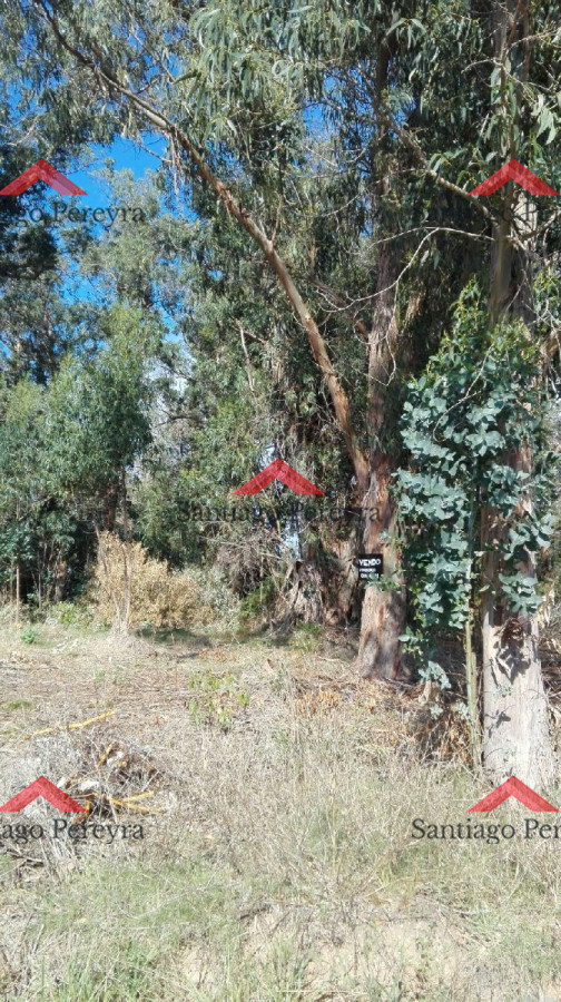 Terreno ID.6767 - VENTA TERRENO EN SANTA MÓNICA