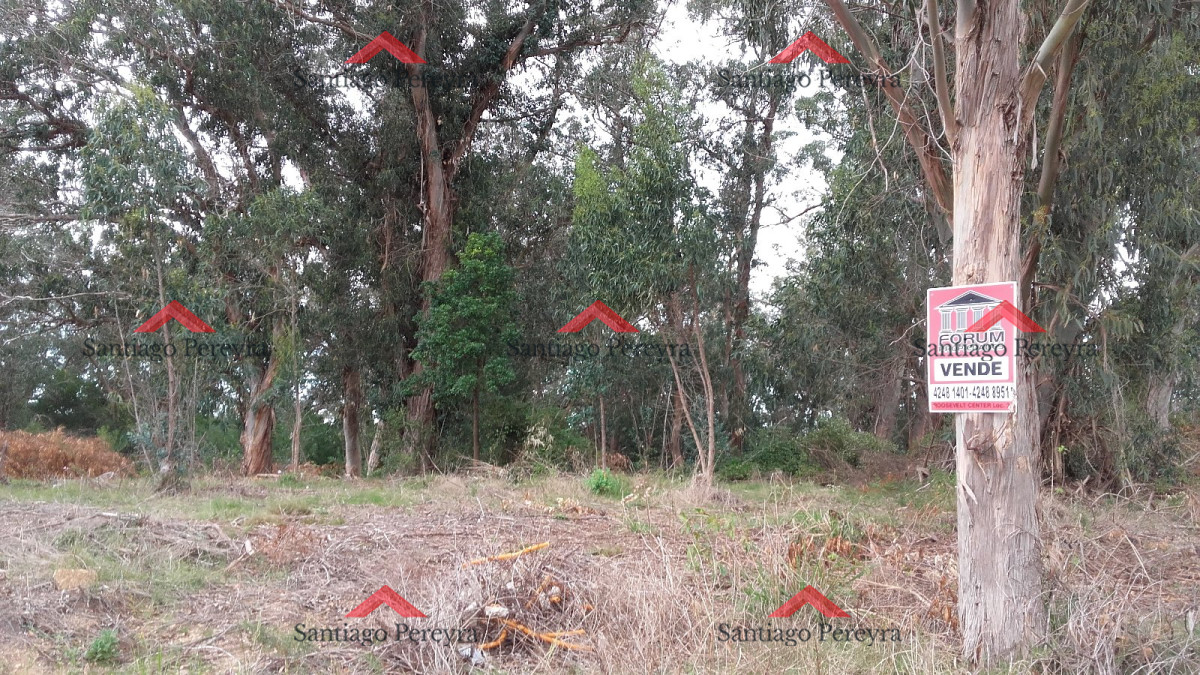 Terreno ID.6767 - VENTA TERRENO EN SANTA MÓNICA