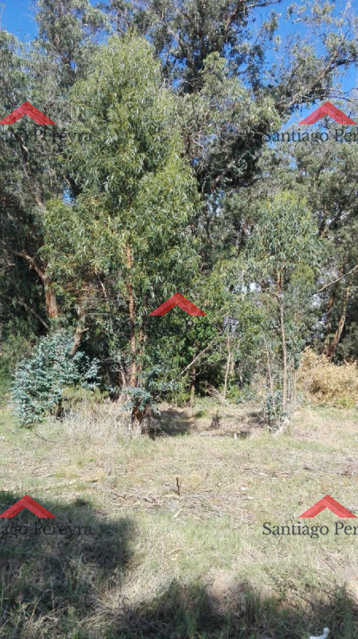 Terreno ID.6767 - VENTA TERRENO EN SANTA MÓNICA