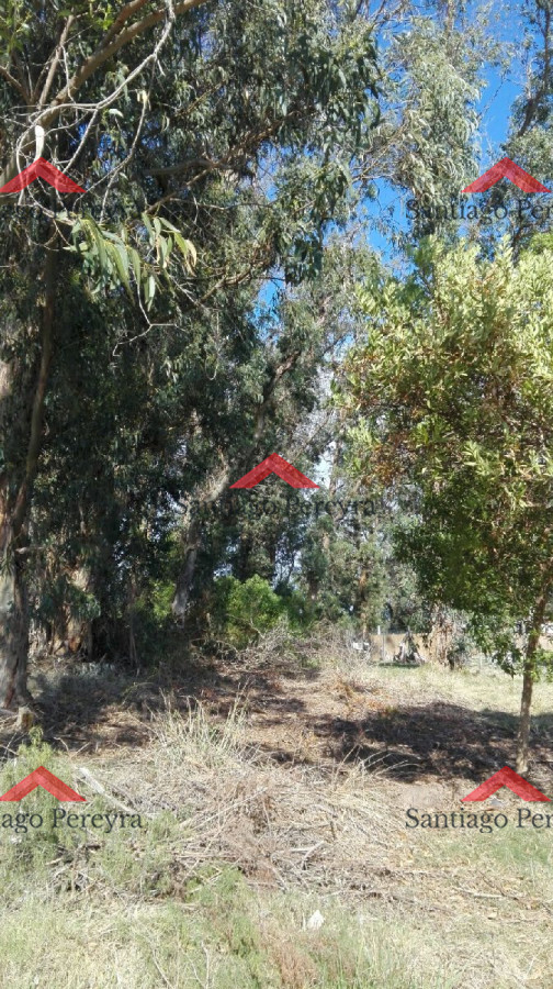 Terreno ID.6767 - VENTA TERRENO EN SANTA MÓNICA