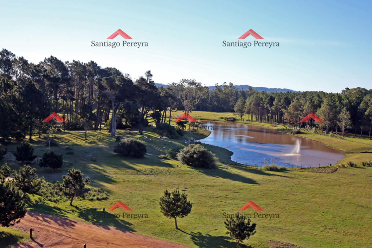 Apartamento ID.6382 - VENTA APARTAMENTO 3 DORMITORIOS EN SUITE