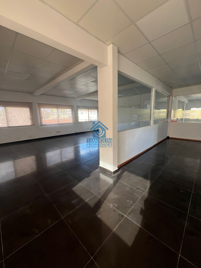 Local Comercial ID.789 - Gran Local en Alquiler Anual en Maldonado