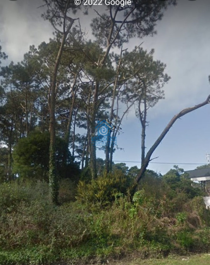 Terreno ID.533 - EXCELENTE LOTE SOBRE AV. DEL MAR 