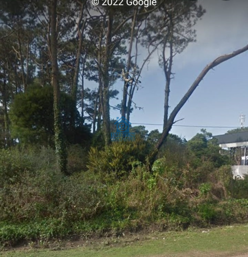 Terreno ID.533 - EXCELENTE LOTE SOBRE AV. DEL MAR 