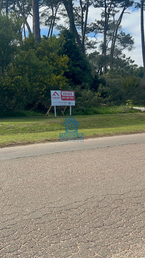 Terreno ID.533 - EXCELENTE LOTE SOBRE AV. DEL MAR 