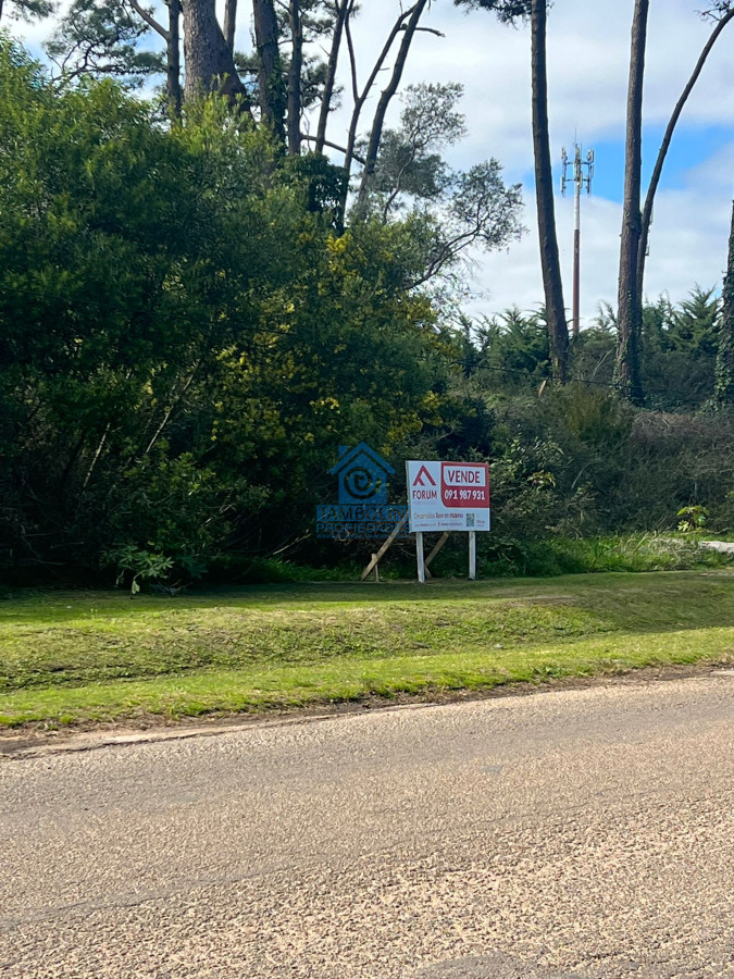 Terreno ID.533 - EXCELENTE LOTE SOBRE AV. DEL MAR 