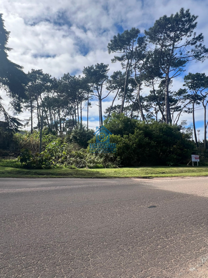 Terreno ID.533 - EXCELENTE LOTE SOBRE AV. DEL MAR 