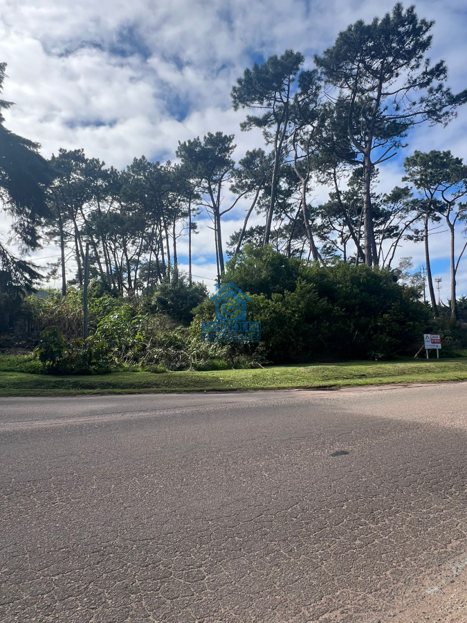 Terreno ID.533 - EXCELENTE LOTE SOBRE AV. DEL MAR 