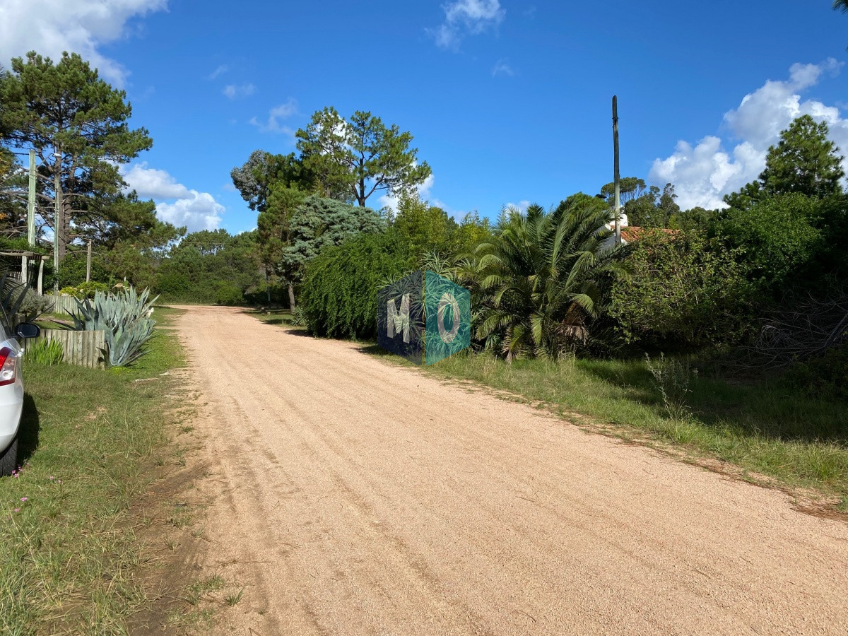 Terreno ID.865 - TÍO TOM A 500 MTS. DEL MAR PUNTA BALLENA 