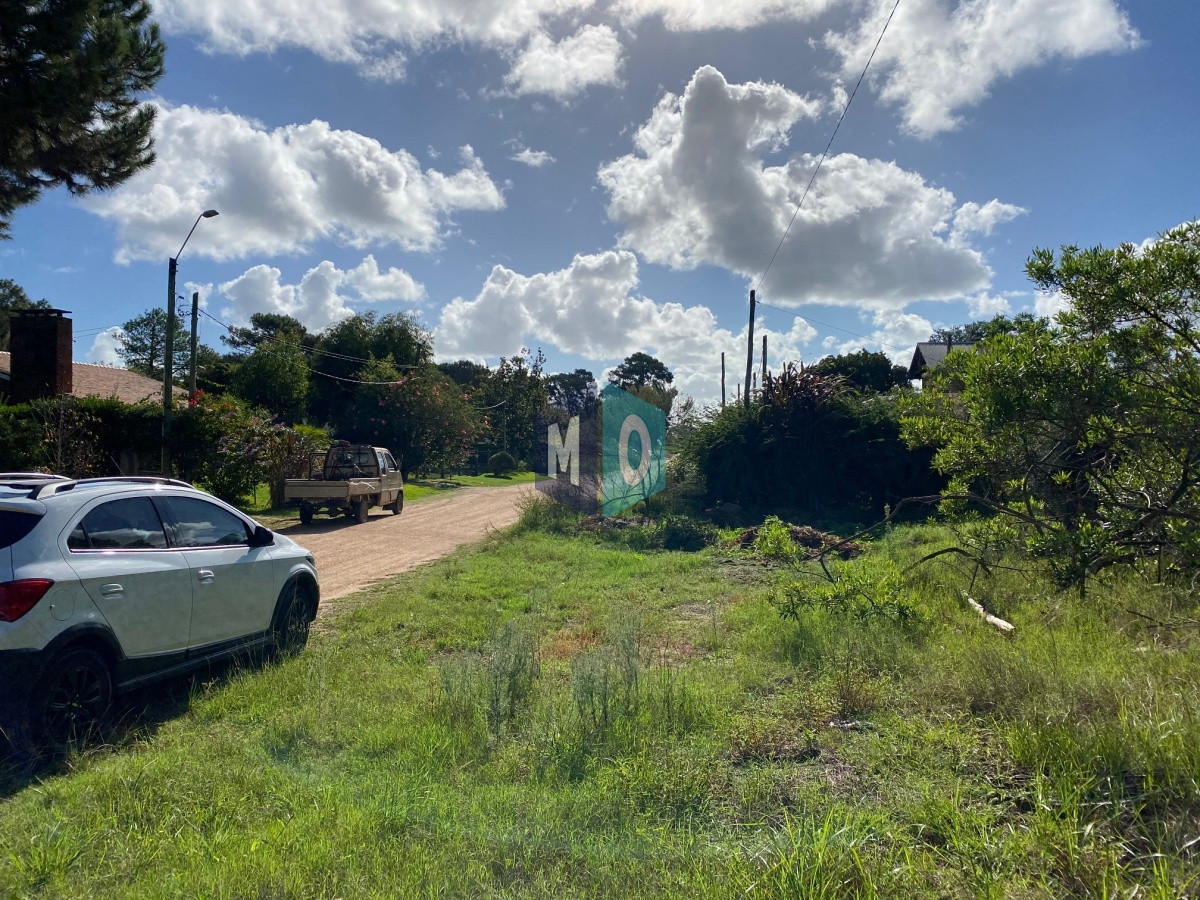 Terreno ID.865 - TÍO TOM A 500 MTS. DEL MAR PUNTA BALLENA 