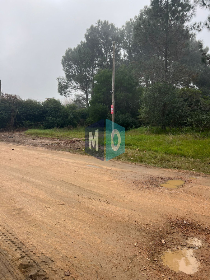 Terreno ID.865 - TÍO TOM A 500 MTS. DEL MAR PUNTA BALLENA 