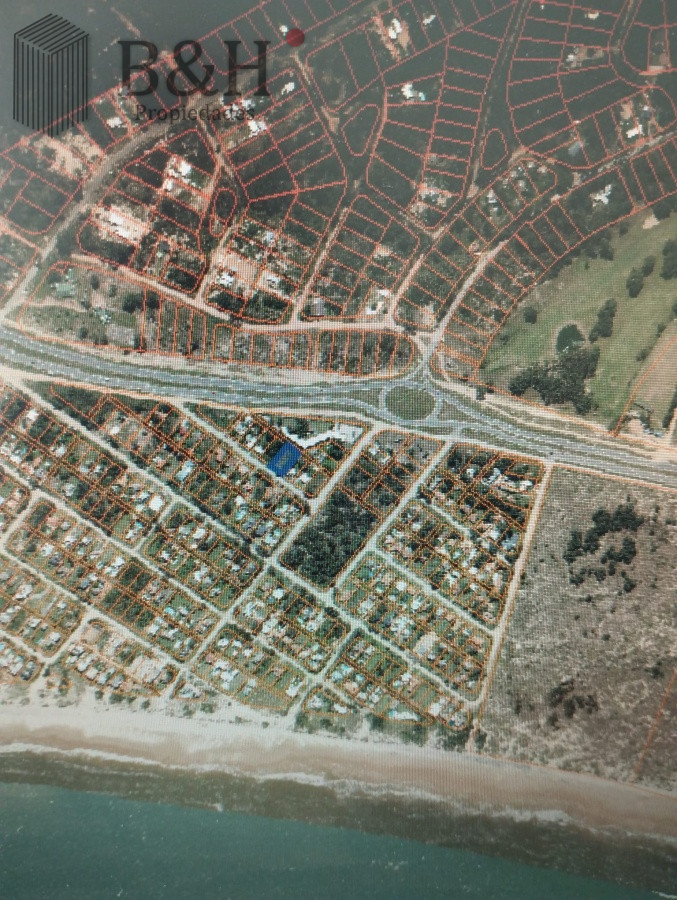 Tio Tom - GoPunta - Portal Inmobiliario de Punta del Este - Maldonado