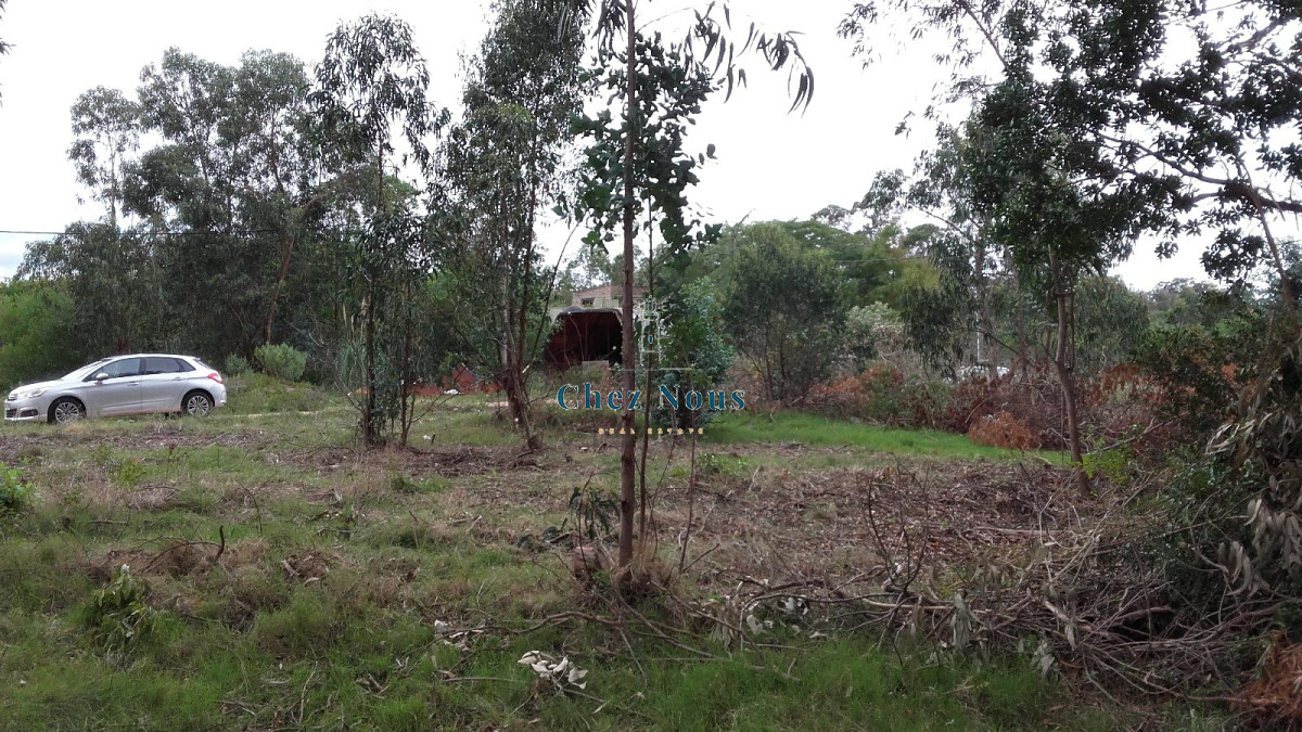 Terreno ID.421 - VENTA TERRENO EN SANTA MÓNICA