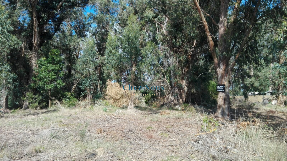 Terreno ID.421 - VENTA TERRENO EN SANTA MÓNICA