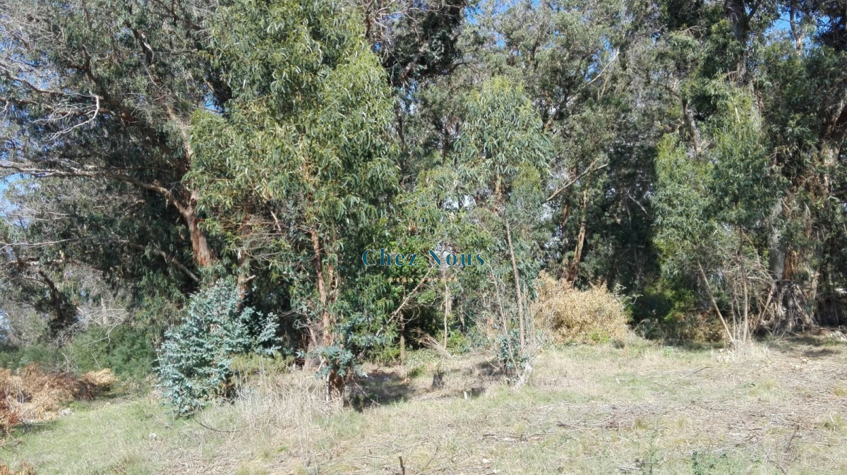 Terreno ID.421 - VENTA TERRENO EN SANTA MÓNICA