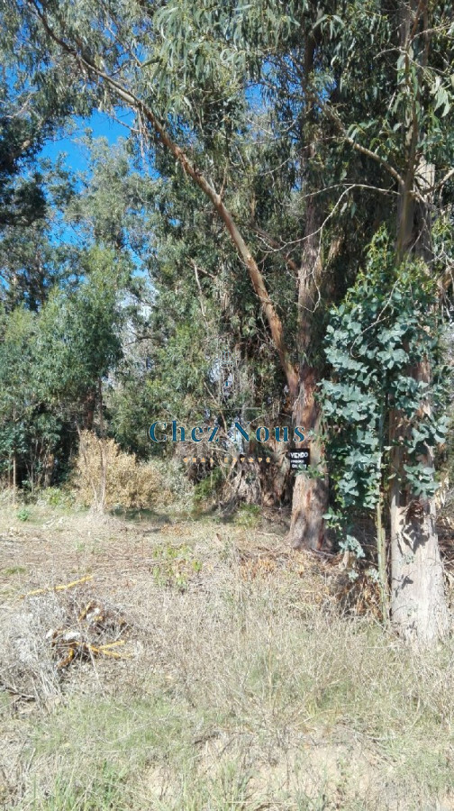 Terreno ID.421 - VENTA TERRENO EN SANTA MÓNICA
